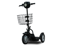 EV Rider Stand N Ride